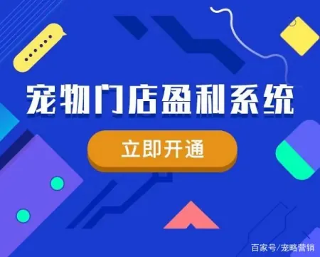 宠物店盈利指南 一文教你全面提升营收